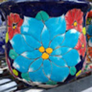 Meet your Posher, Niccole